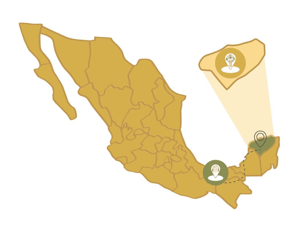Traslado Funerario Nacional